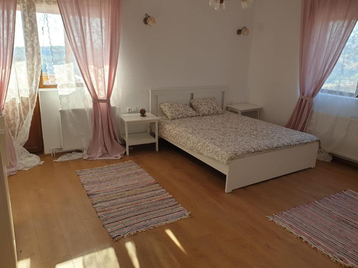 Casuta De La Munte Hotel Sfodea Luaran gambar