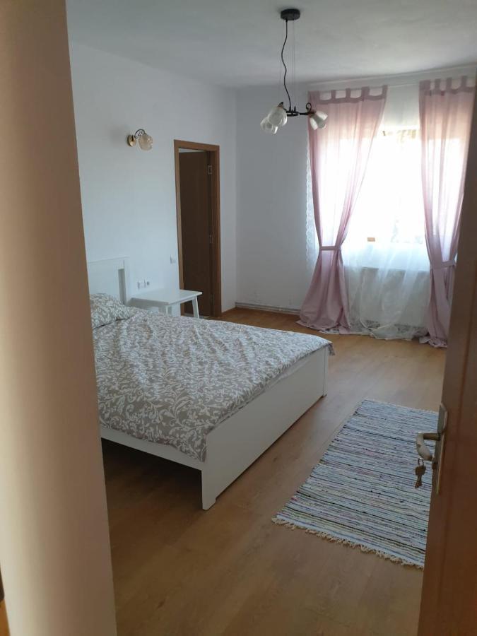 Casuta De La Munte Hotel Sfodea Luaran gambar