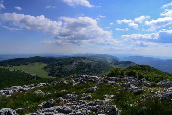 Casuta De La Munte Hotel Sfodea Luaran gambar