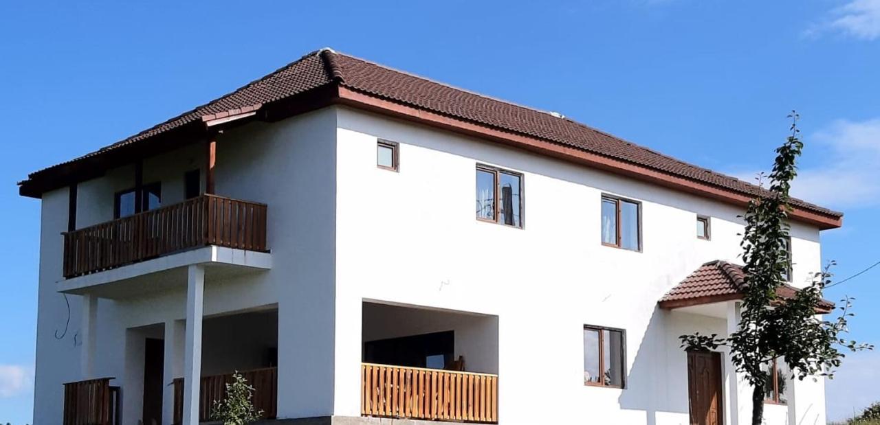 Casuta De La Munte Hotel Sfodea Luaran gambar